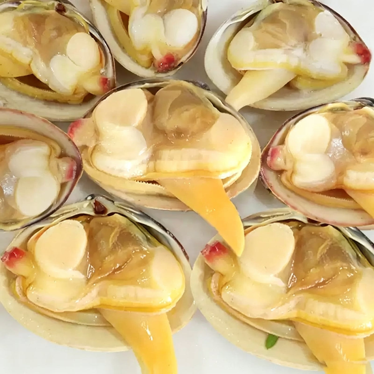 Frozen Fresh Clams